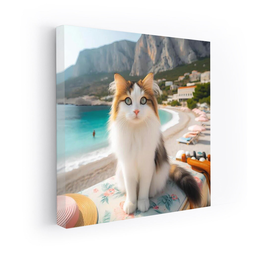 Turkish Van on a Fashionable Beach: A Bright Accent for the Interior