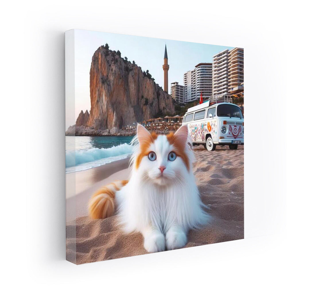 Turkish Van and Retro Car on Freedom Beach
