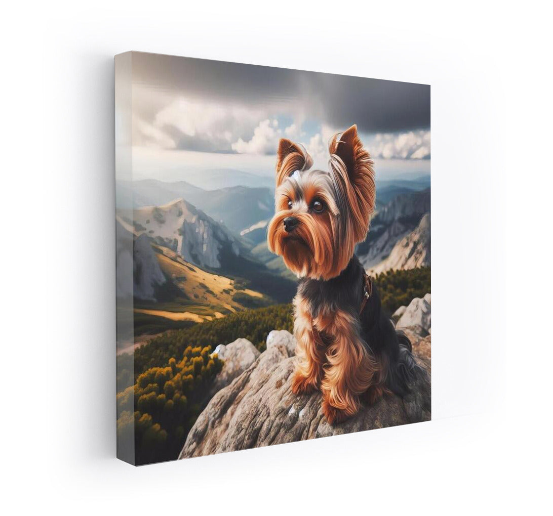 Yorkshire Terrier at the Top: Freedom and View from the Mountain