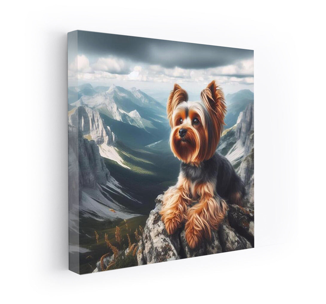Yorkshire Terrier at the Top: Adventures and the Majesty of Nature