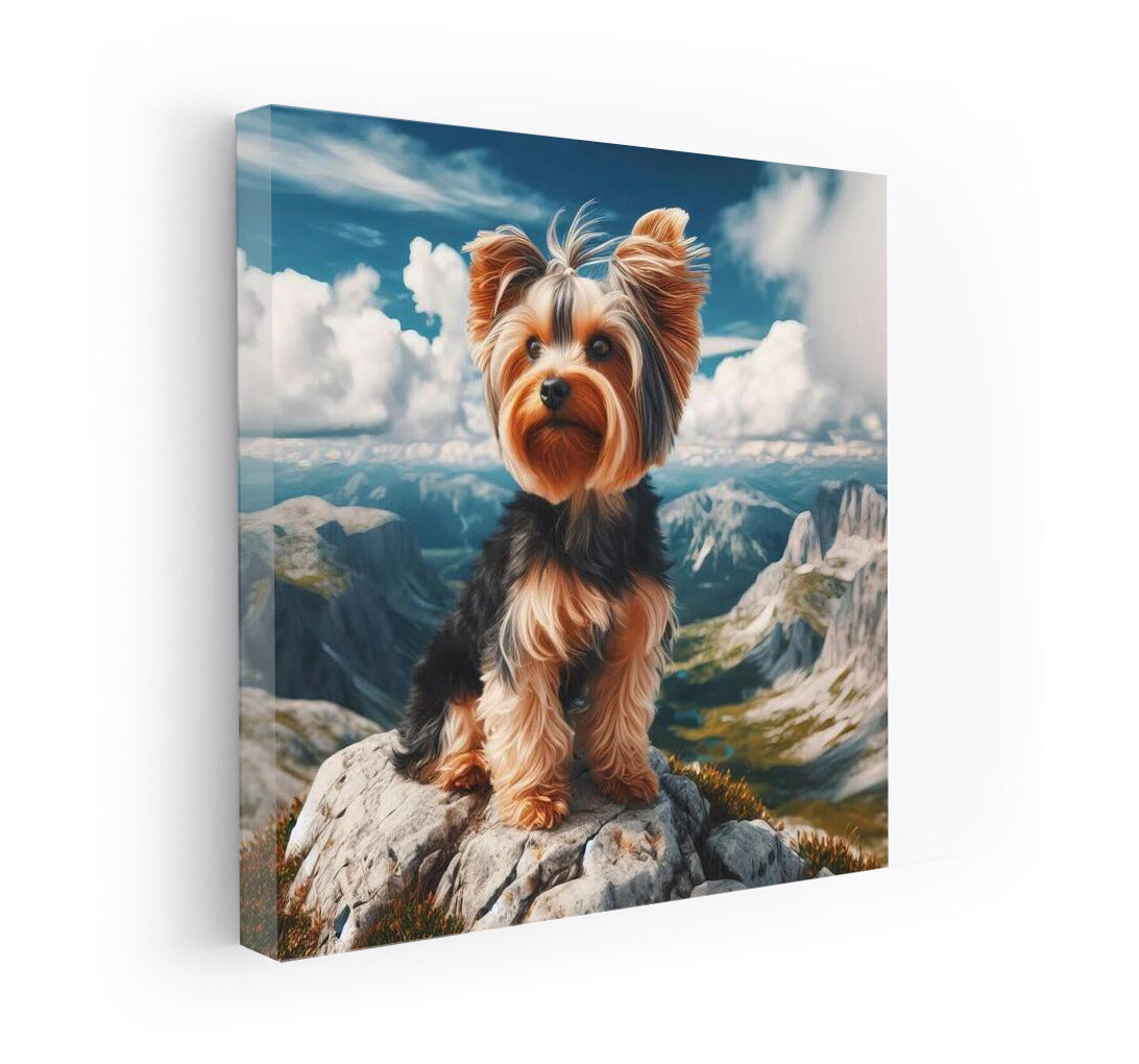 Yorkshire Terrier at the Top: Freedom and Grandeur of Nature