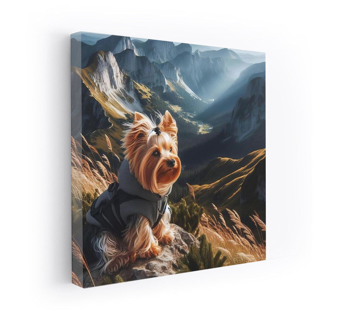 Yorkshire Terrier on a Mountain Top: Enjoying the View and Freedom