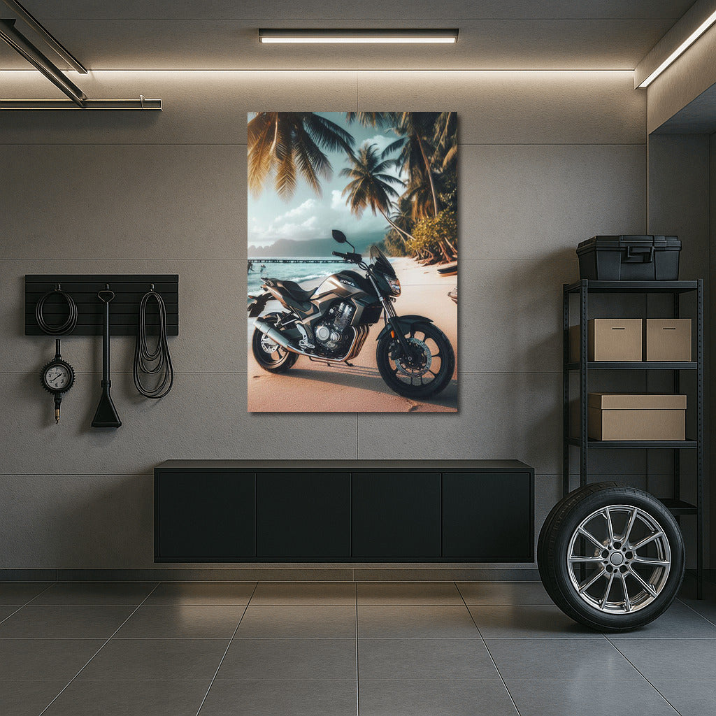 Speedy Honda on a Tropical Beach: Dynamics and Style