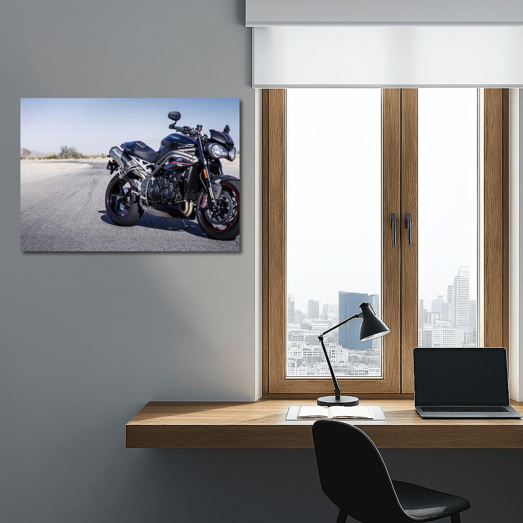 Triumph of Speed: Triumph Speed Triple RS Wall Mounted Motorcycle