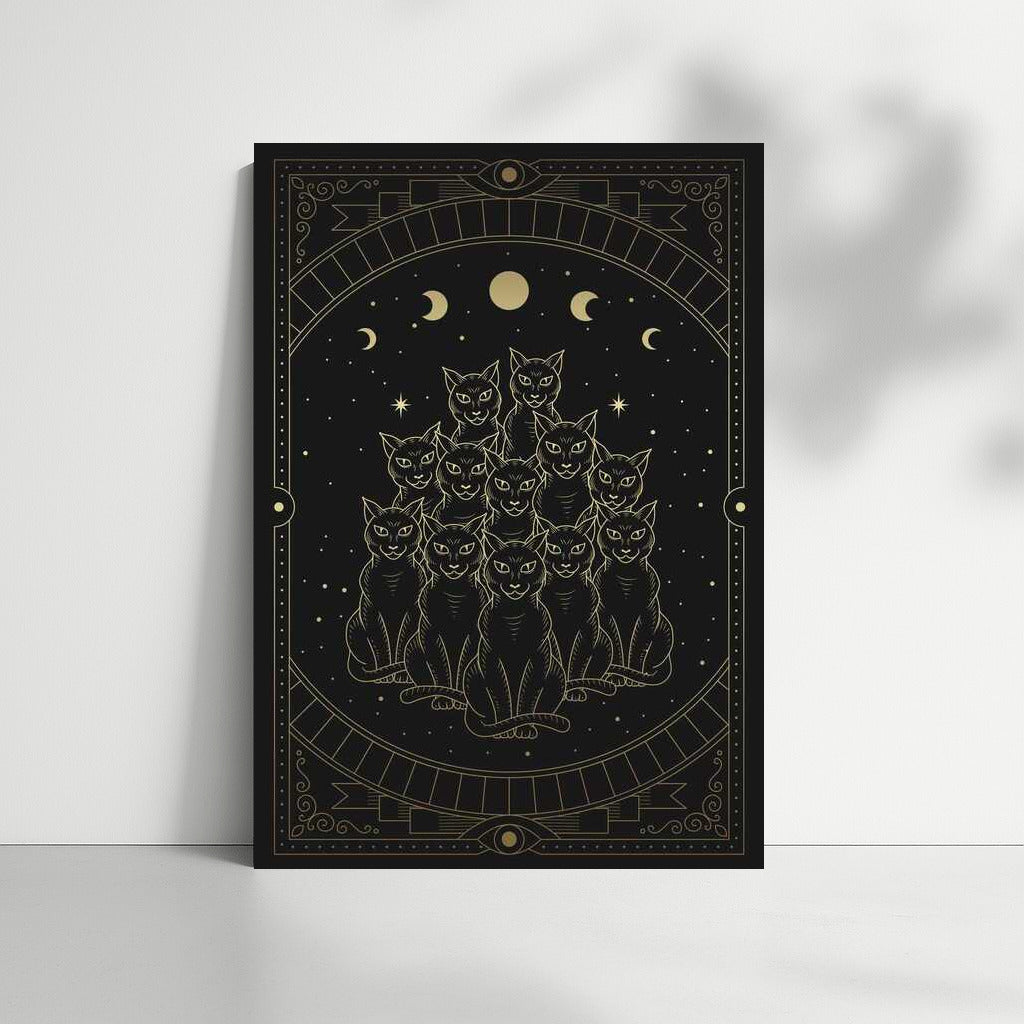 Night Mysteries: Mysterious Cats Under the Starry Sky
