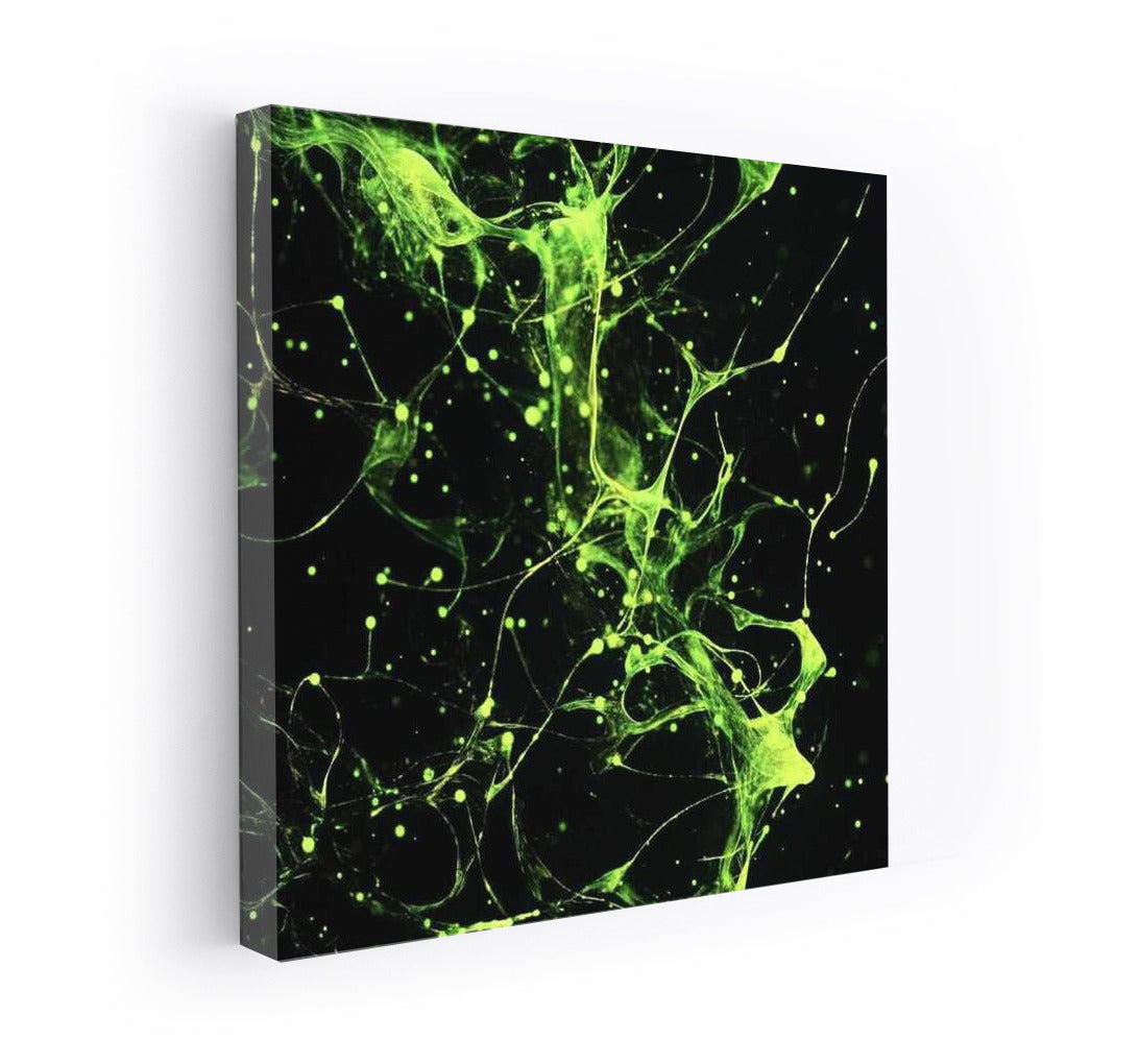Emerald Vortex: Abstract Particle Dynamics