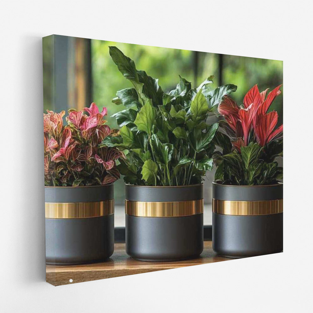Calathea in Art Deco Style: Elegance and Natural Grace