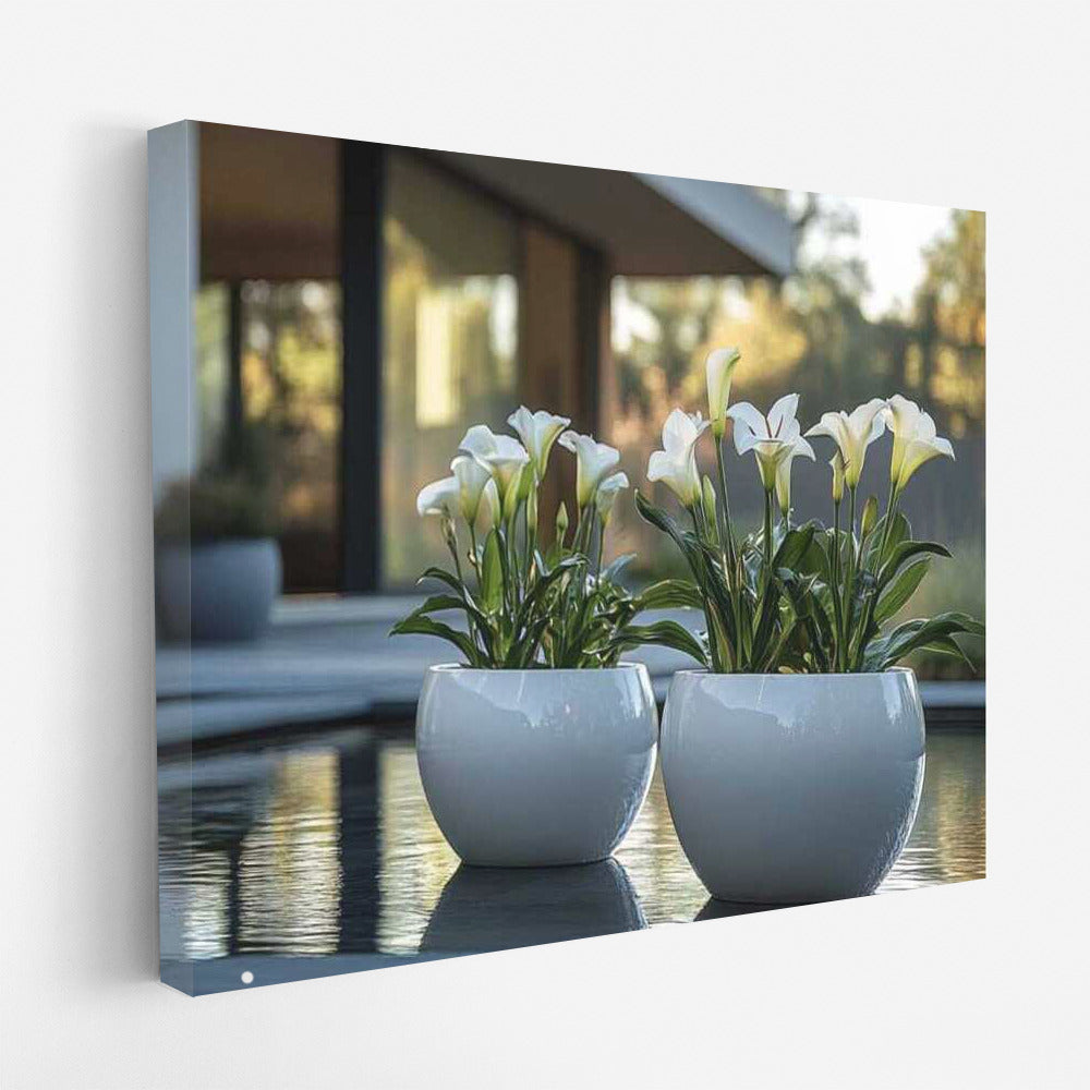 White Callas: Elegance and Freshness in the Interior