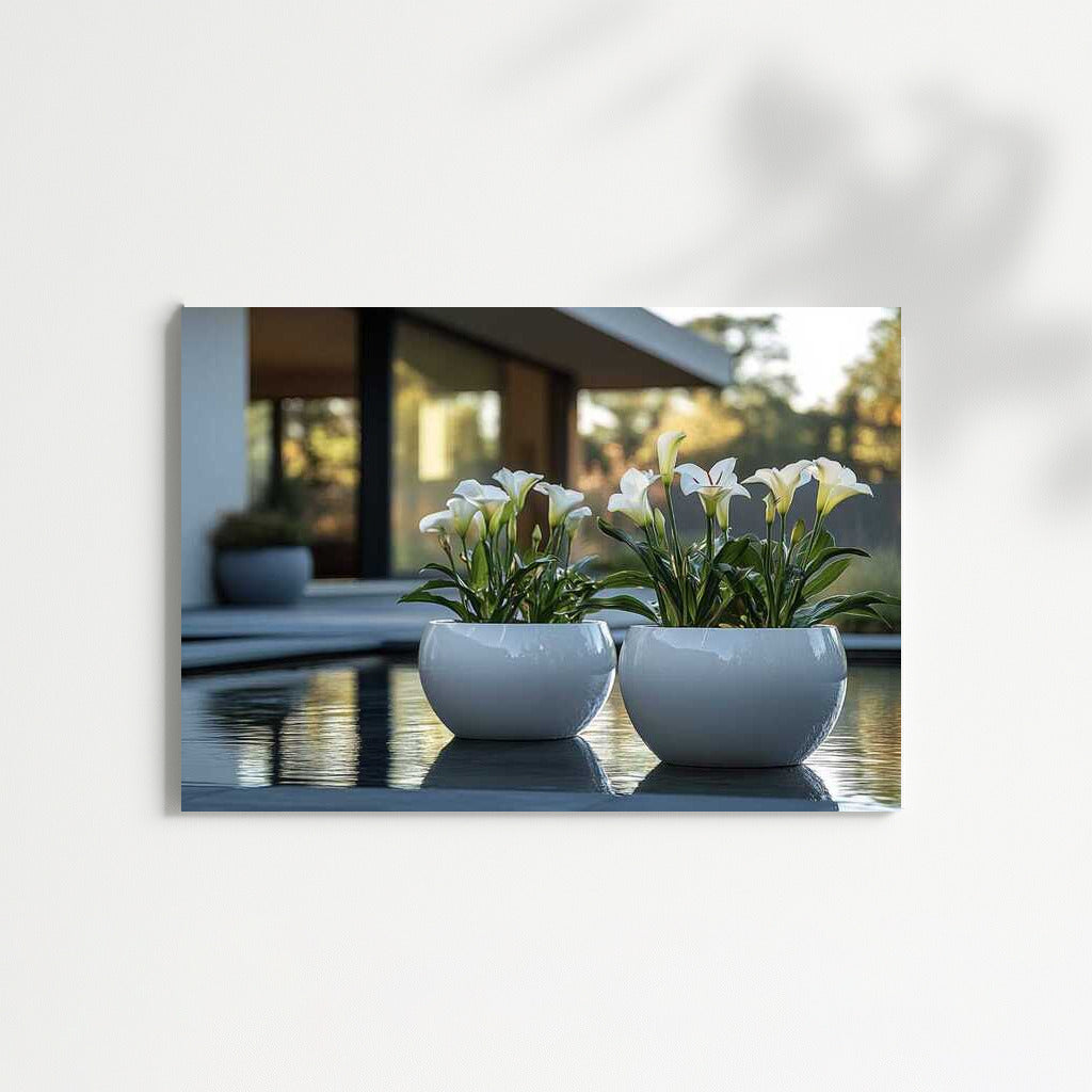 White Callas: Elegance and Freshness in the Interior