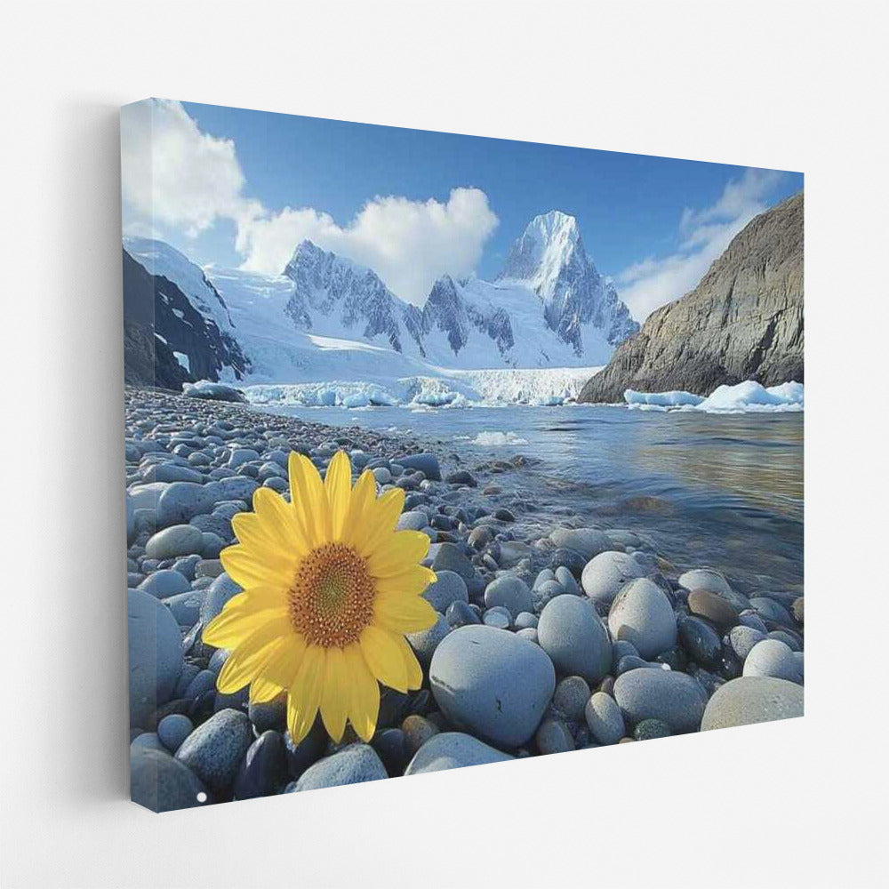 Mountain Sunflower: The Beauty of Helianthus in Tepla and Sharm