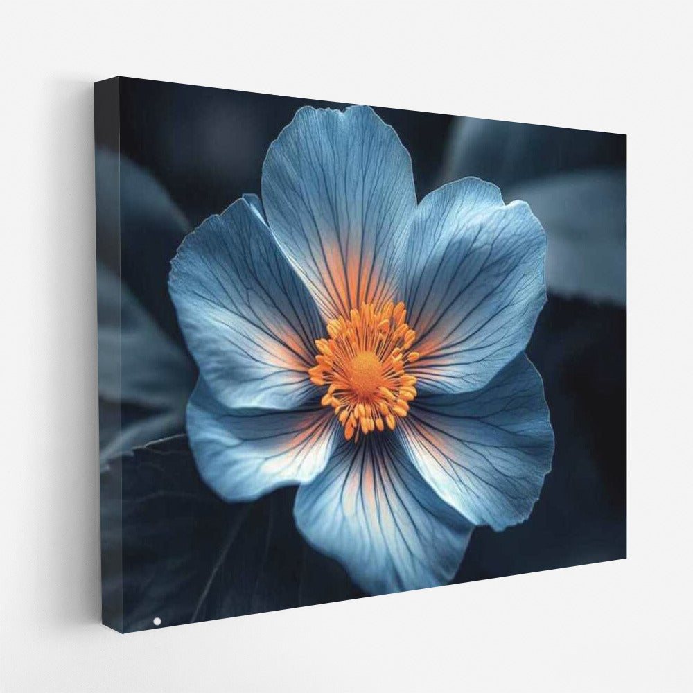 Blue Himalayan Poppy: An Elegant Flower for the Interior