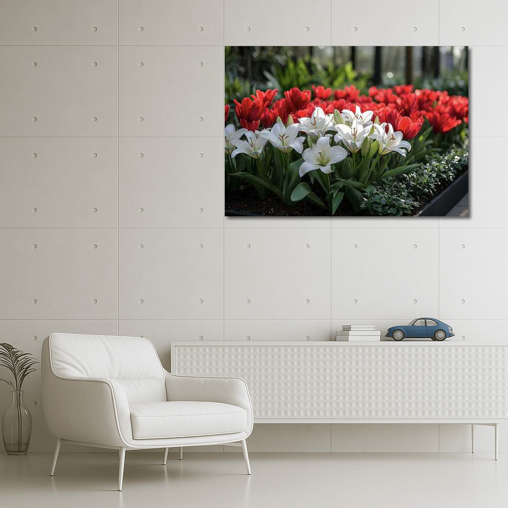 Flower Symphony: Red Tulips and White Lilies on Your Wall