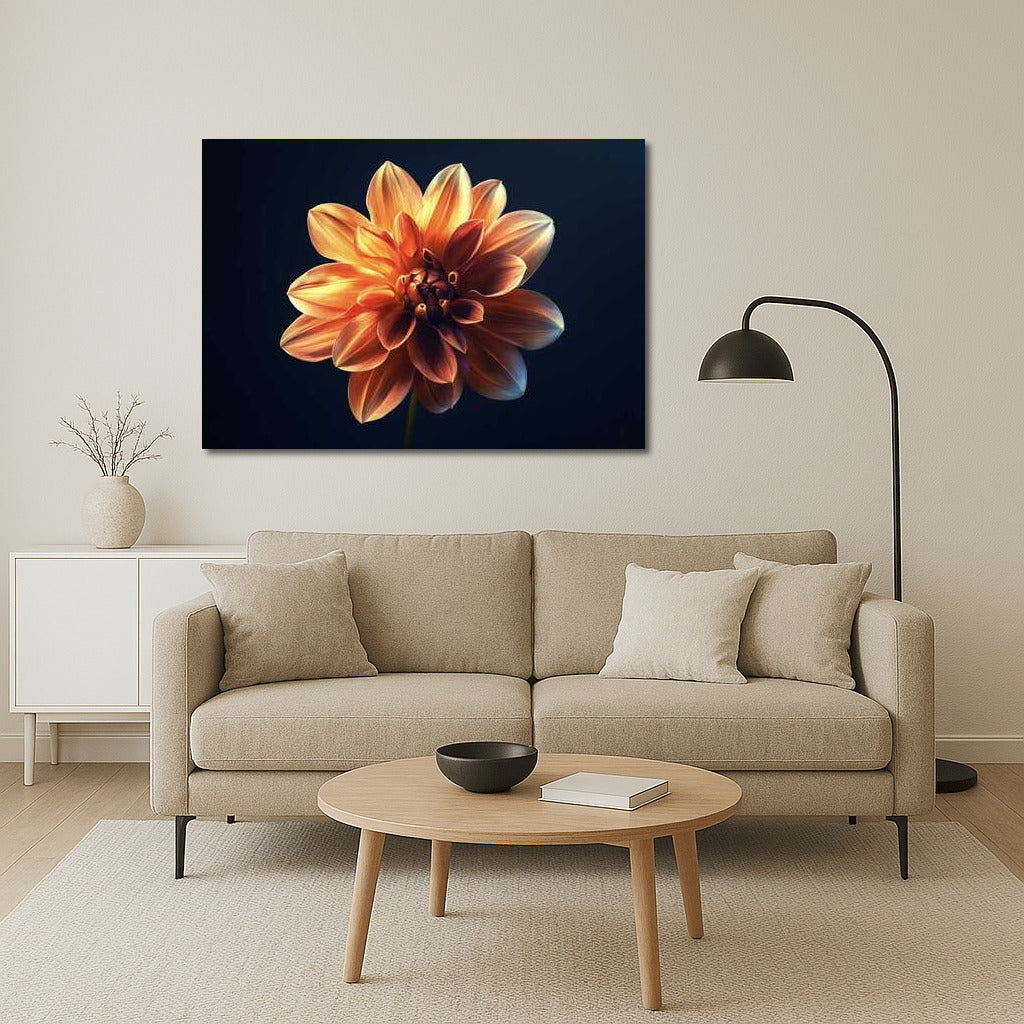 Elegant Dahlia: Single Flower for Comfort and Style