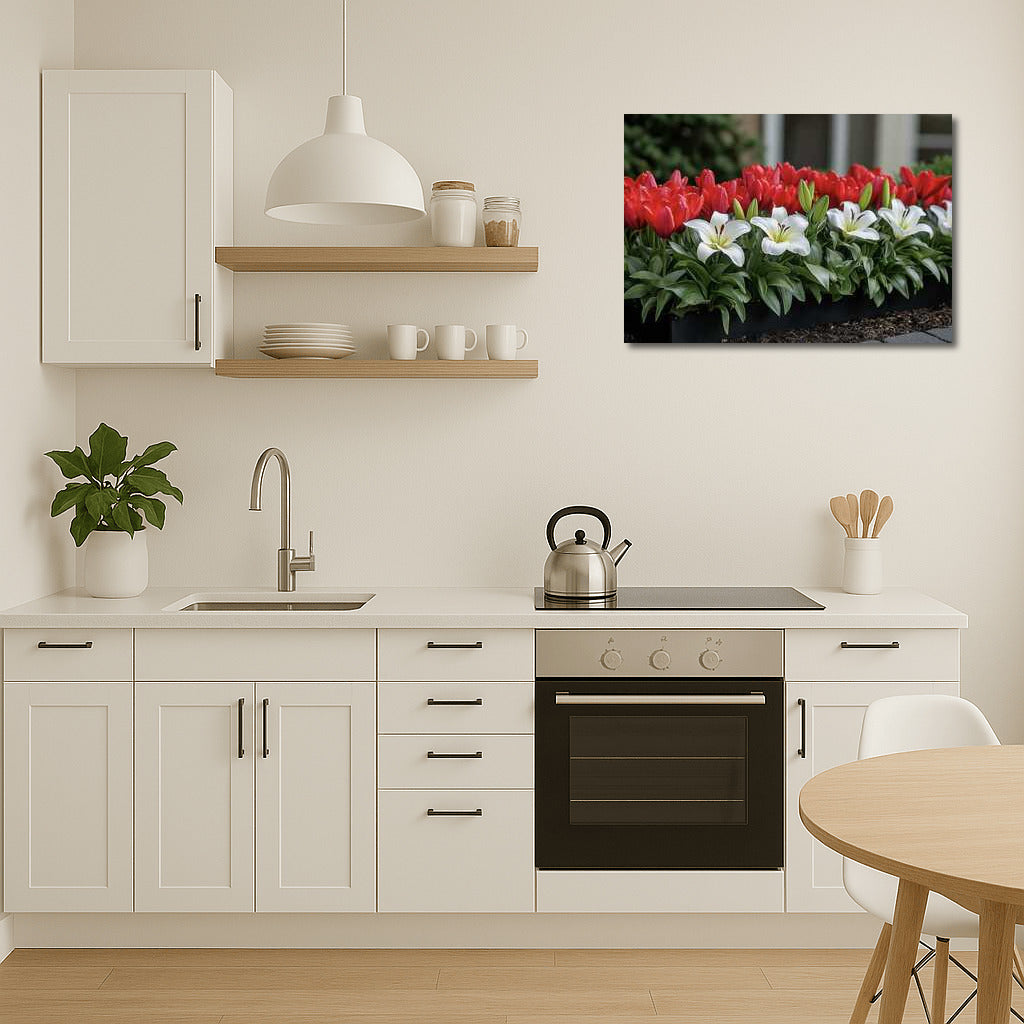 Lilies and Tulips: Red and White Symphony of Flowers for the Interior
