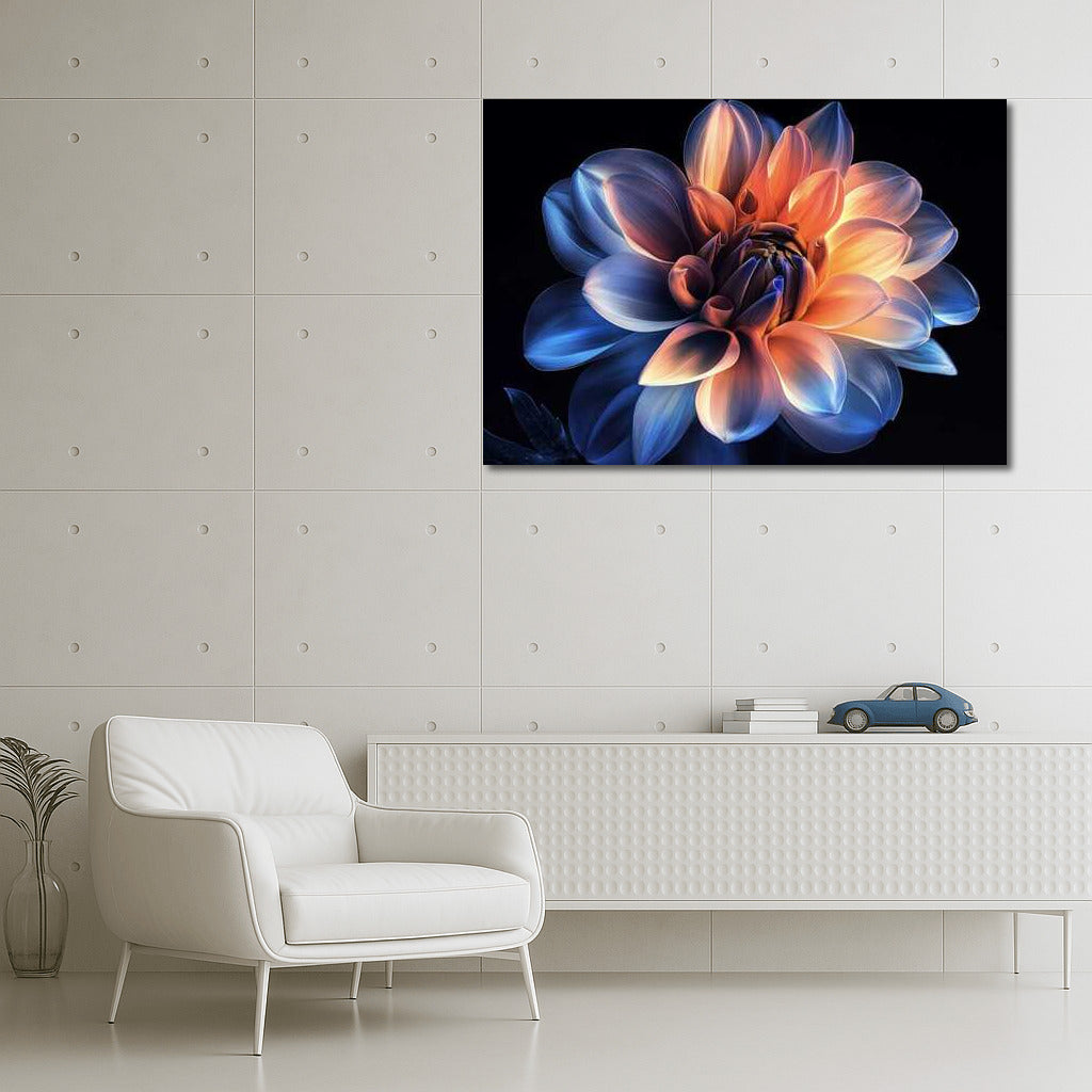 Lonely Dahlia: Bright Flower on Dark Background