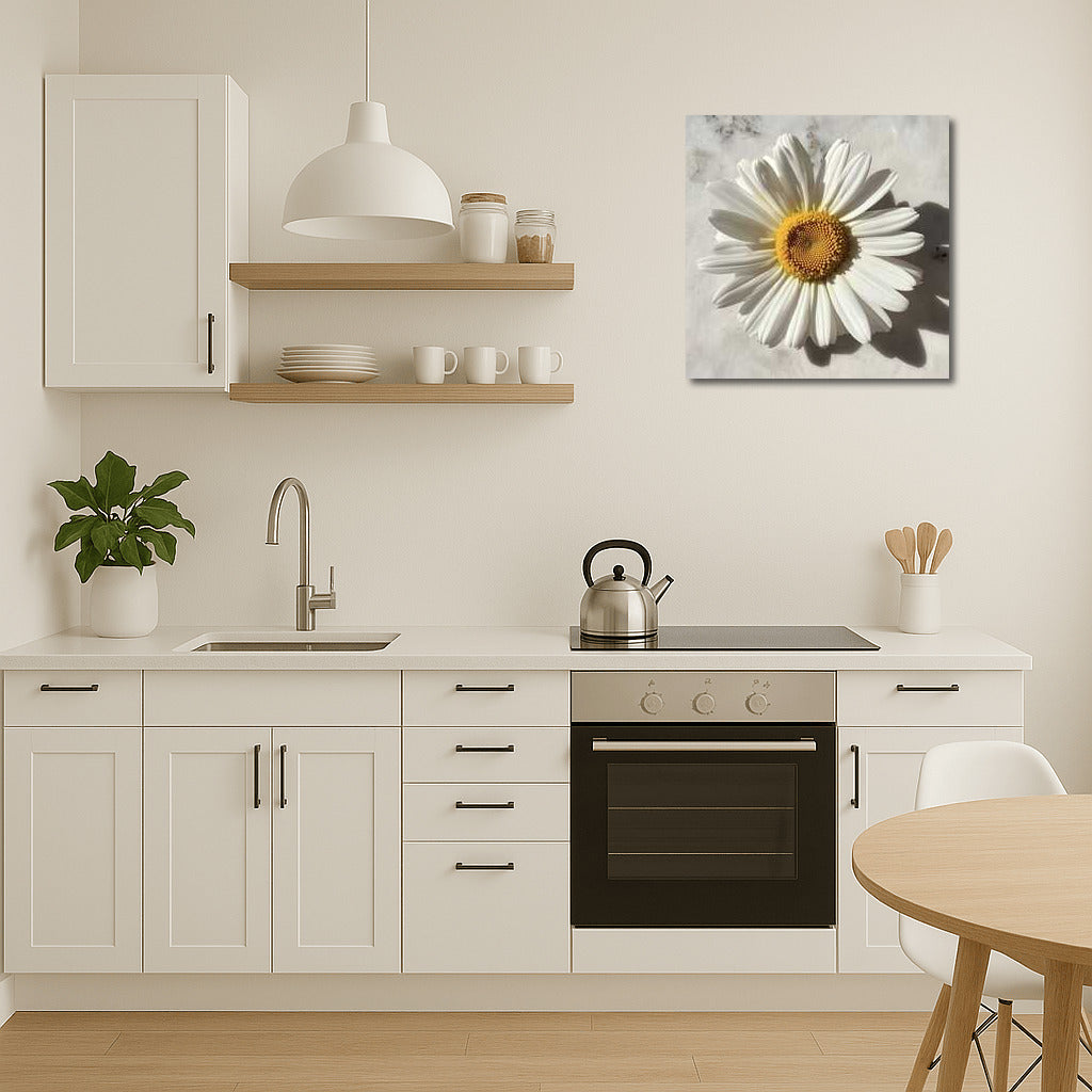 Summer Freshness: White Daisy