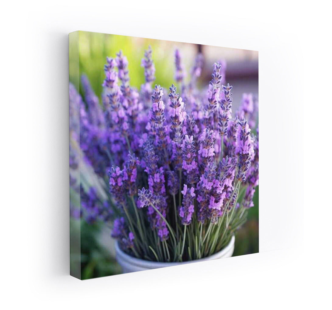 Lavender Bloom: Provence in Your Interior