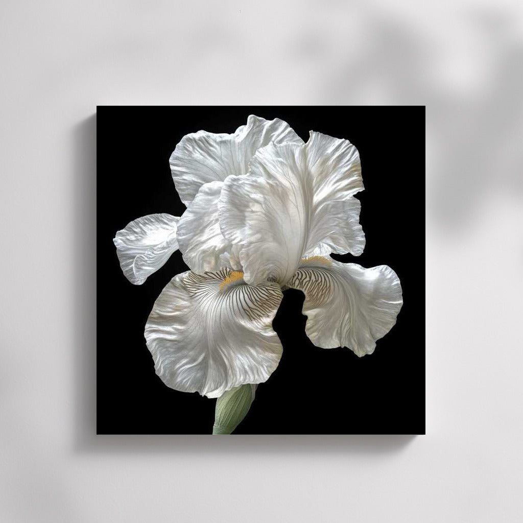 Iris White Pearl: Iridescent Floral Masterpiece