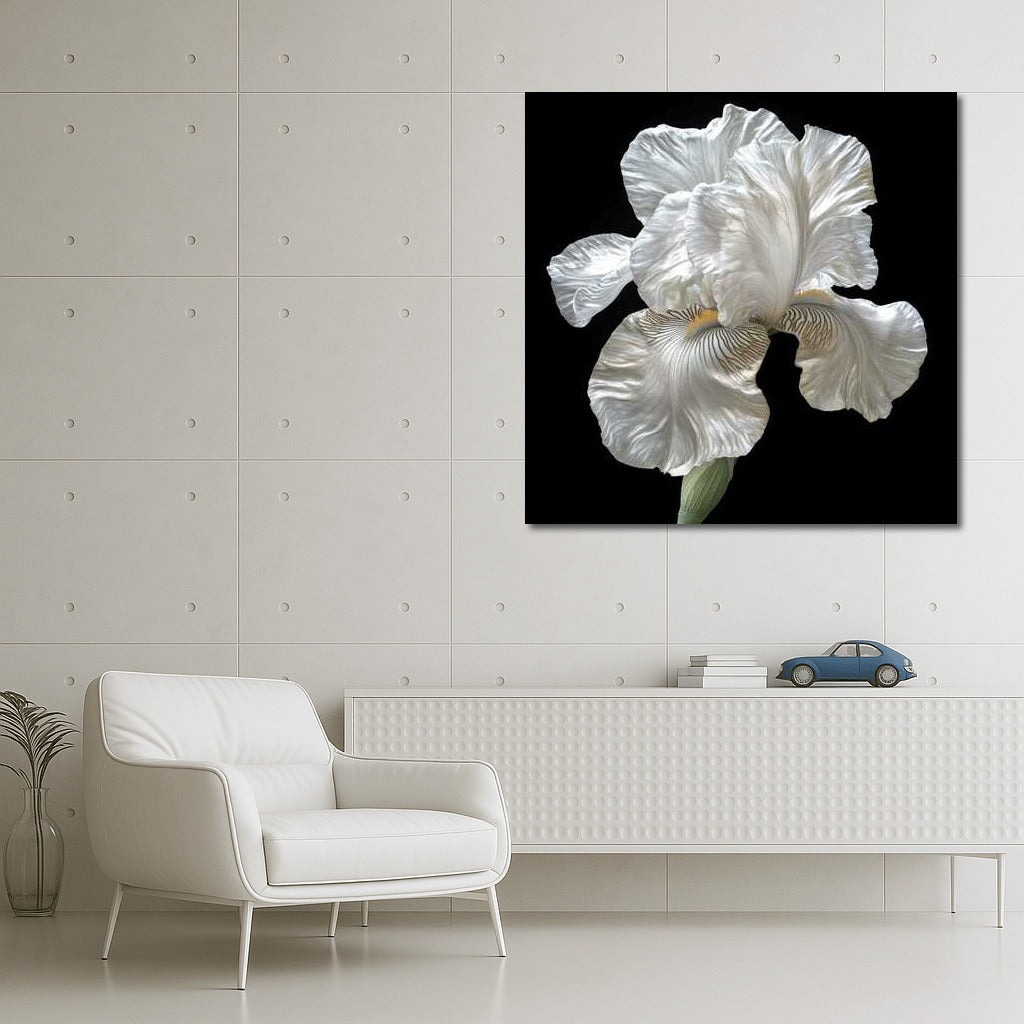 Iris White Pearl: Iridescent Floral Masterpiece