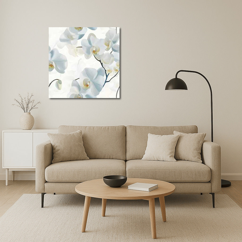 White Phalaenopsis Orchids: Tenderness and Sophistication