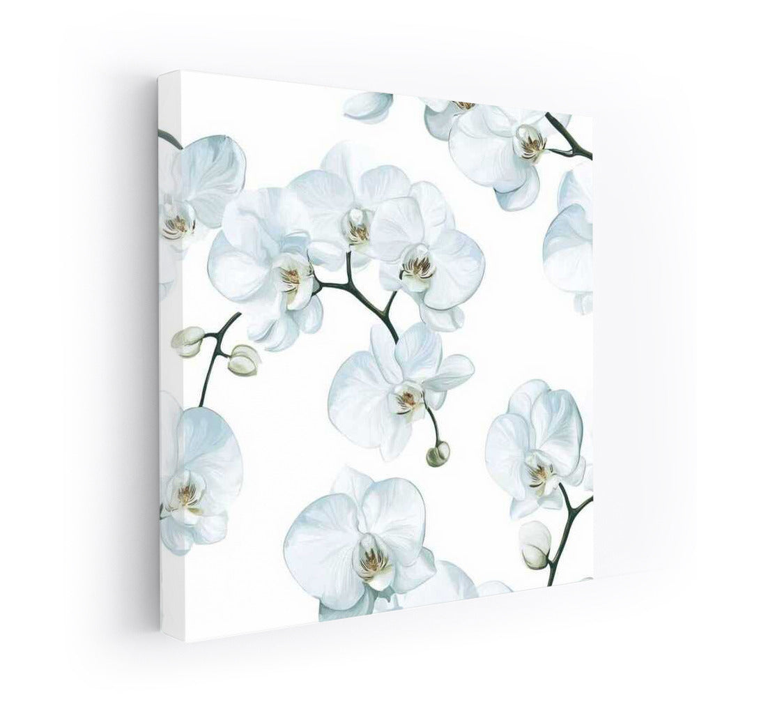 Elegant White Phalaenopsis Orchids: The Art of Blooming
