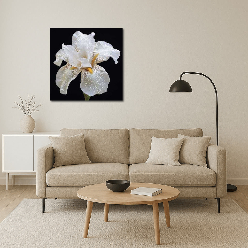 Iris White Pearl Shine: Elegant Flower for Interior