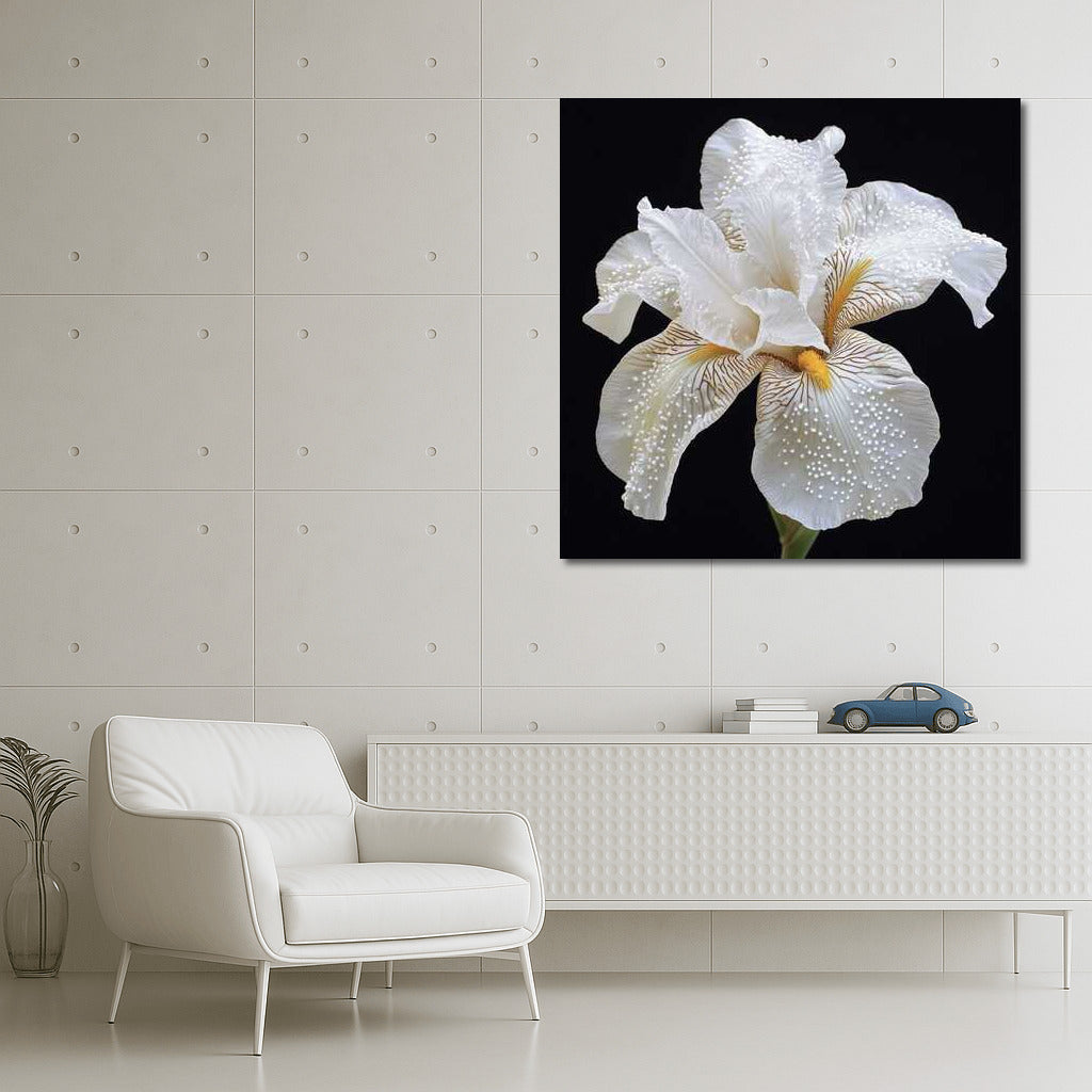 Iris White Pearl Shine: Elegant Flower for Interior