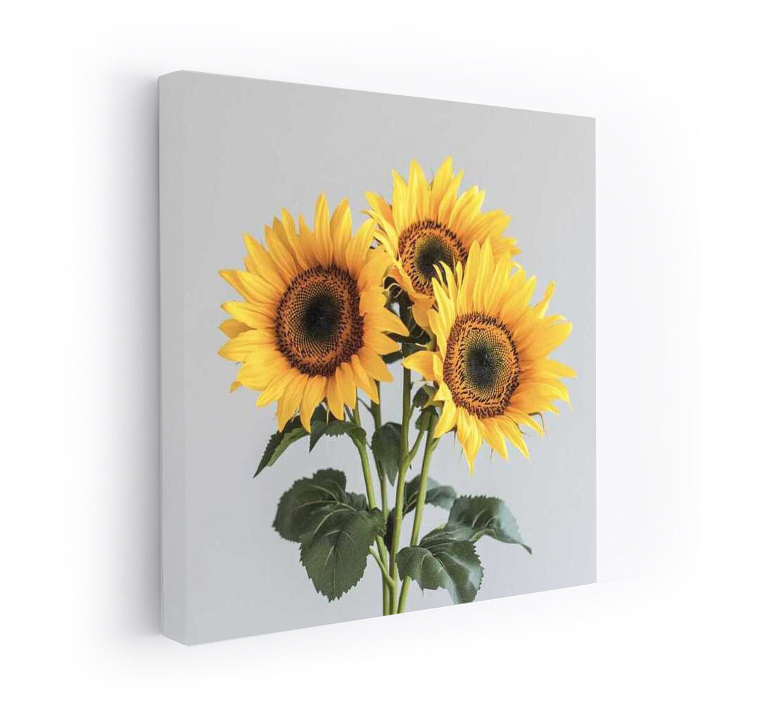 Golden Sunflowers Helianthus: Sunny Mood in Your Interior