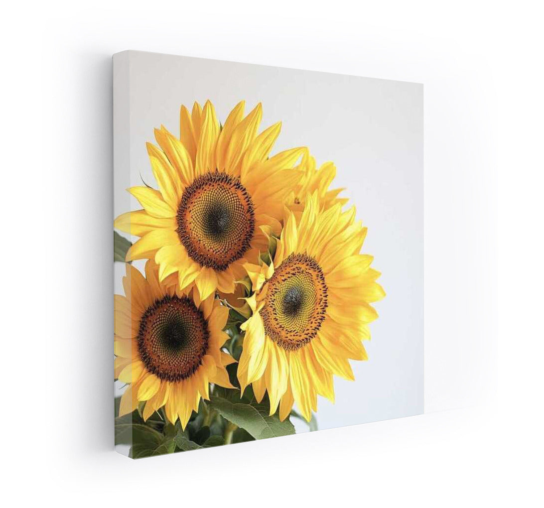Sunny Sunflowers: Brightness and Warmth in Your Home