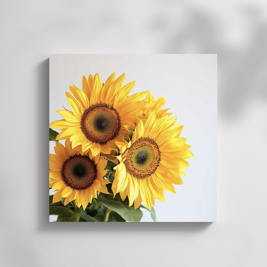 Sunny Sunflowers: Brightness and Warmth in Your Home