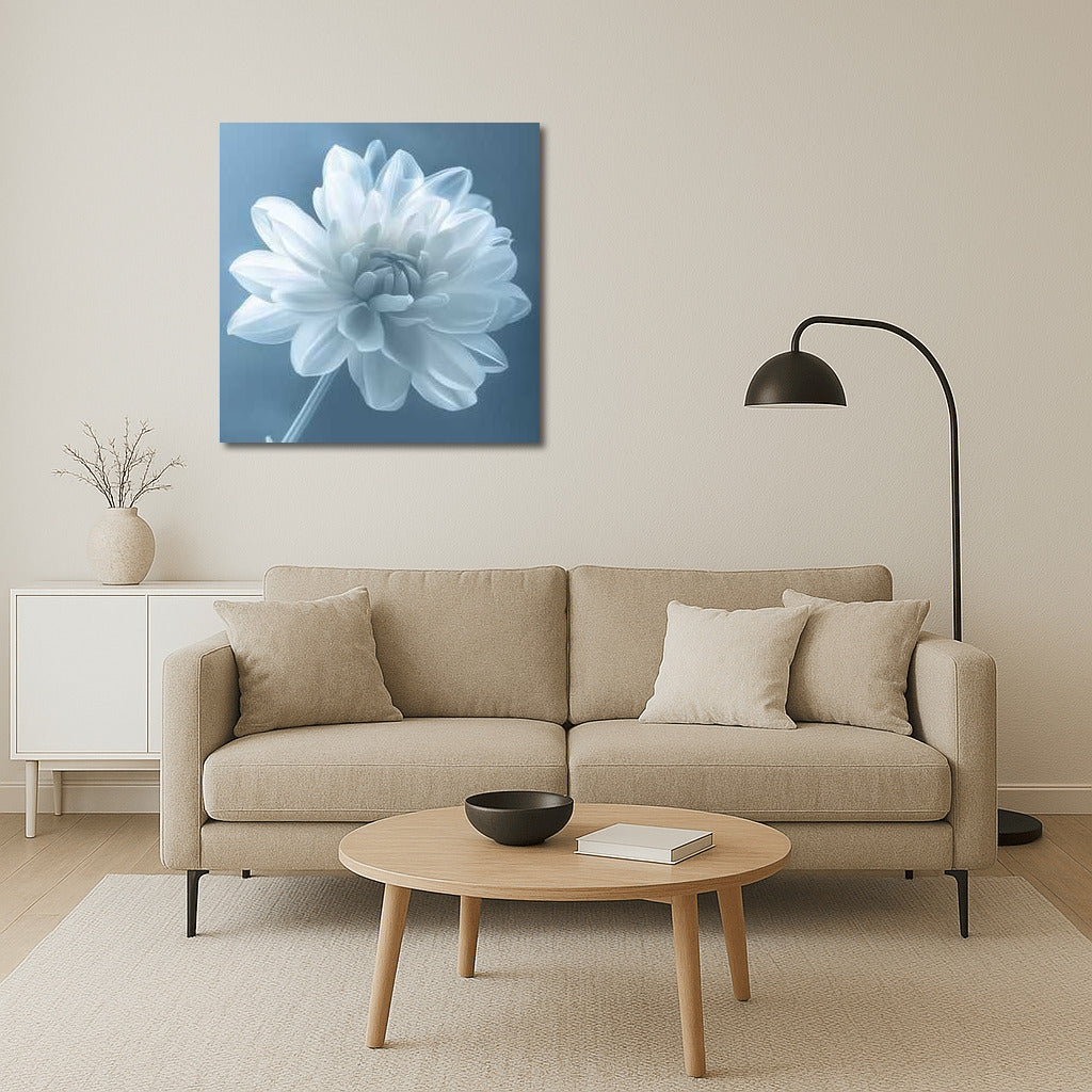 White Dahlia: Tenderness and Sophistication