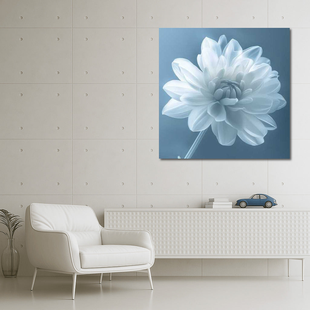 White Dahlia: Tenderness and Sophistication