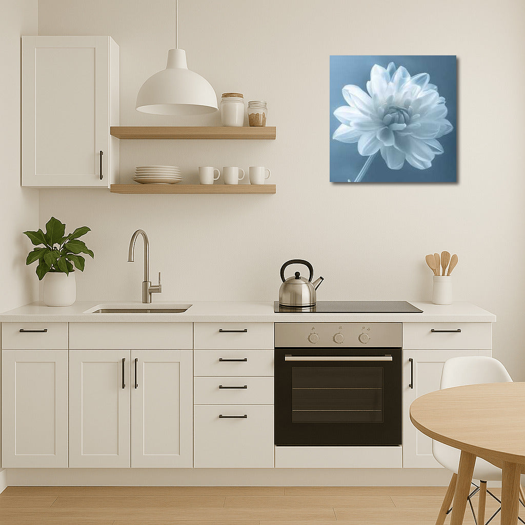 White Dahlia: Tenderness and Sophistication