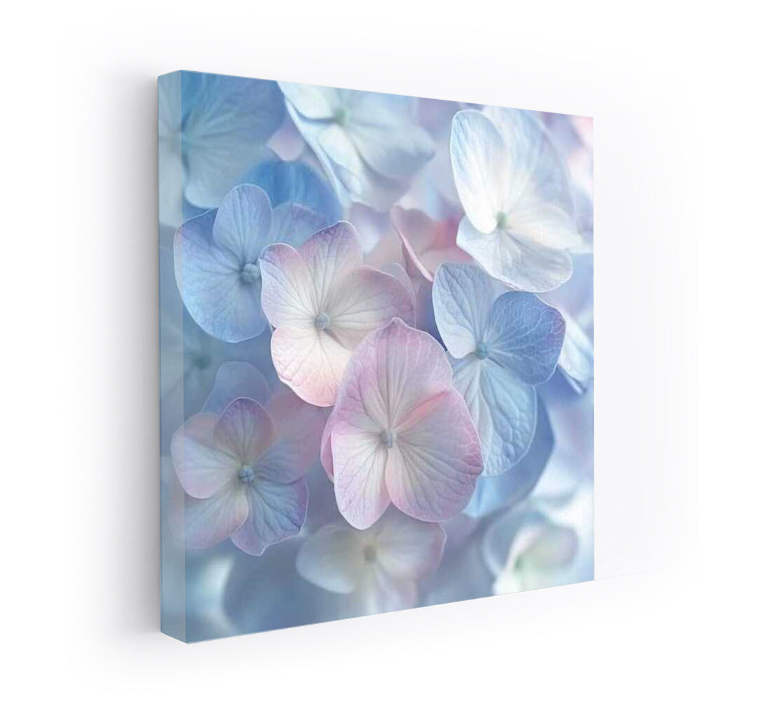 Delicate Inflorescences of Hydrangea Annabelle: Transparent Lightness