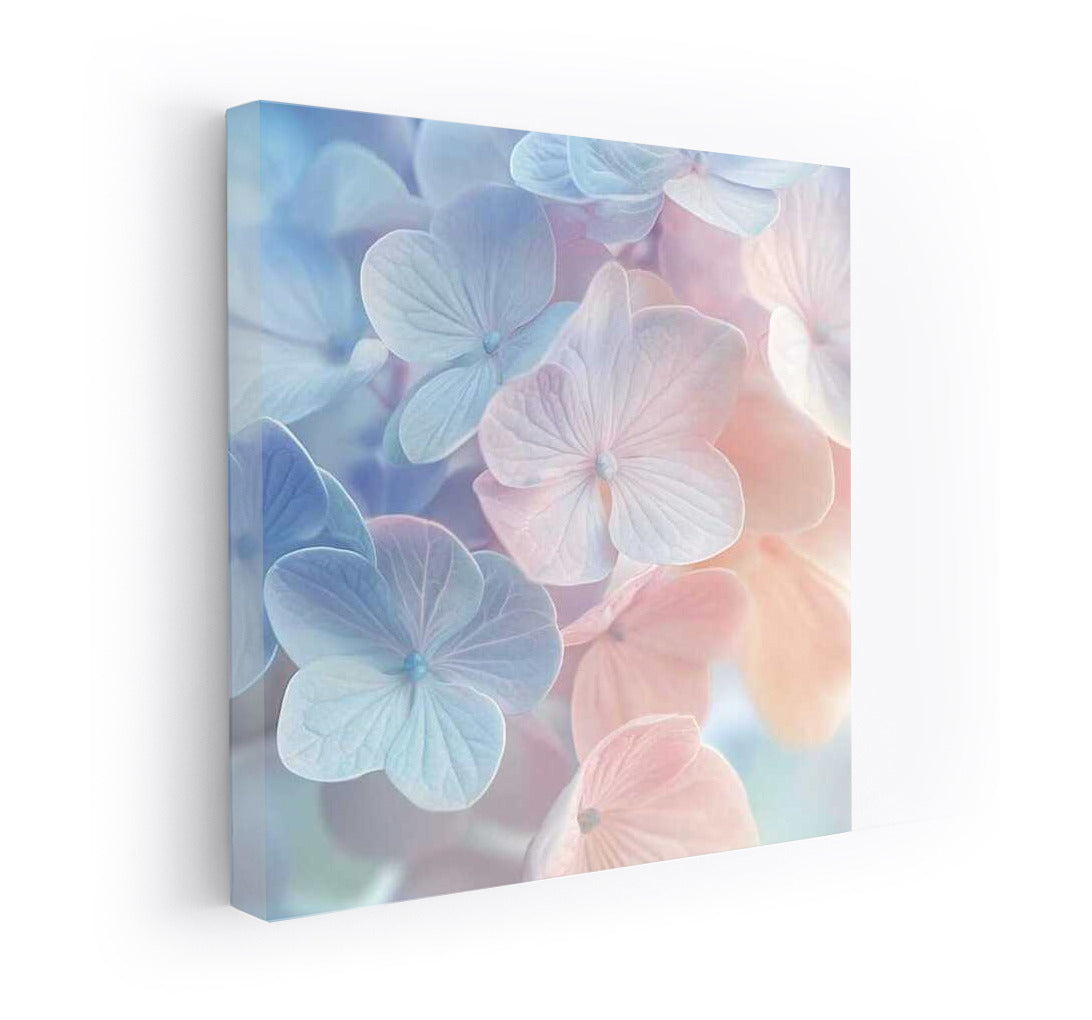 Delicate Flowers of Hydrangea Endless Summer: Watercolor Lightness