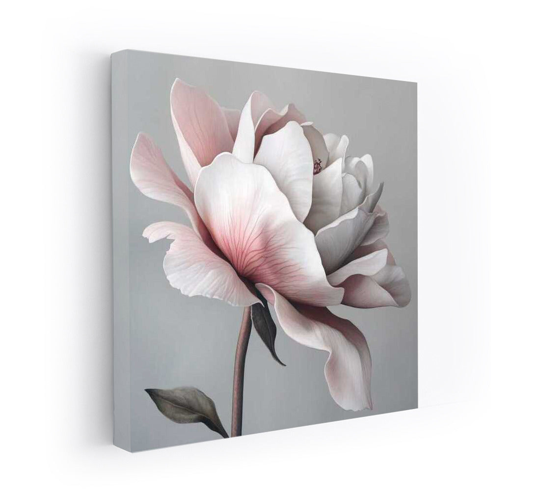 Peony Sarah Bernhardt: Blooming in Elegance