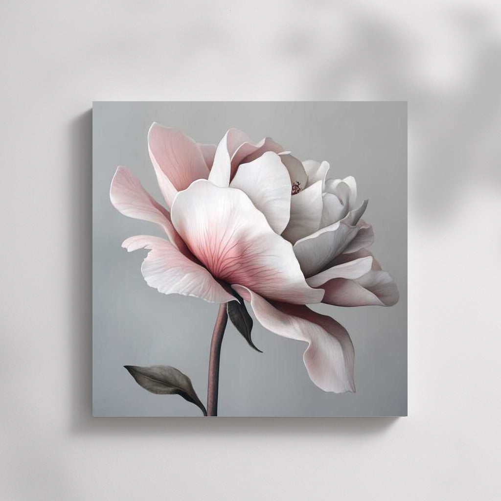 Peony Sarah Bernhardt: Blooming in Elegance