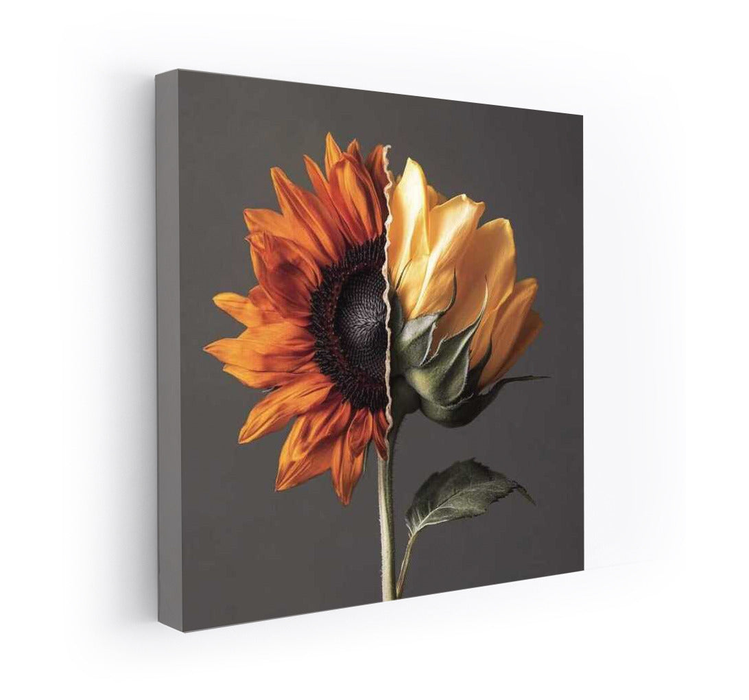 Hybrid Harmony: Half-Dormouse and Half-Rose