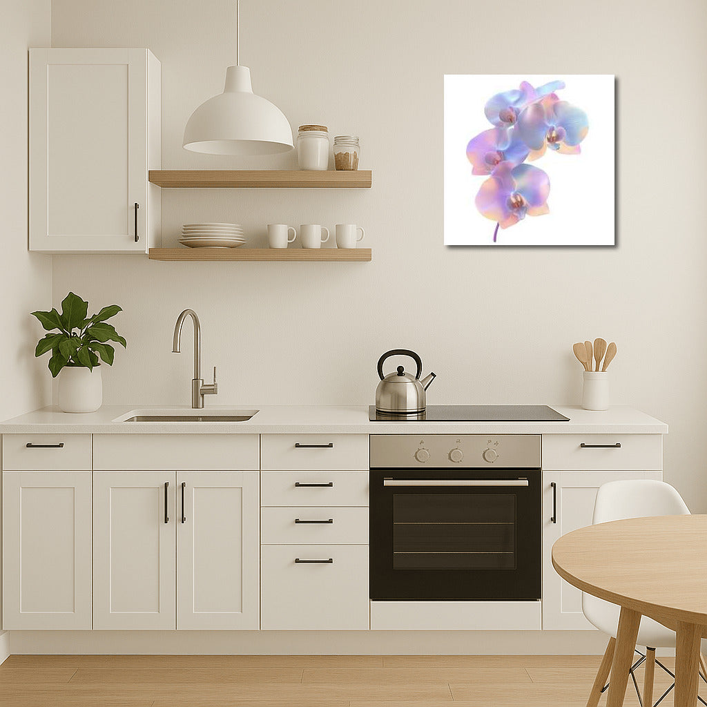 Phalaenopsis Orchid Bloom: The Splendor of Nature