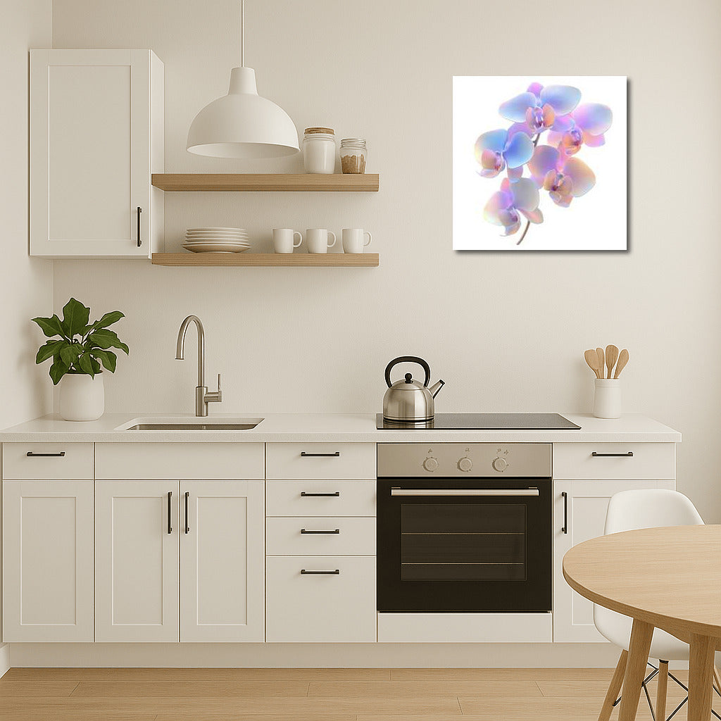 Phalaenopsis Orchid Bloom: A Mistake in Beauty