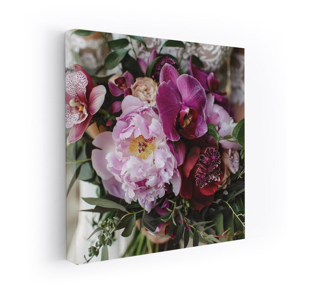 Phalaenopsis Orchid: Floral Symphony