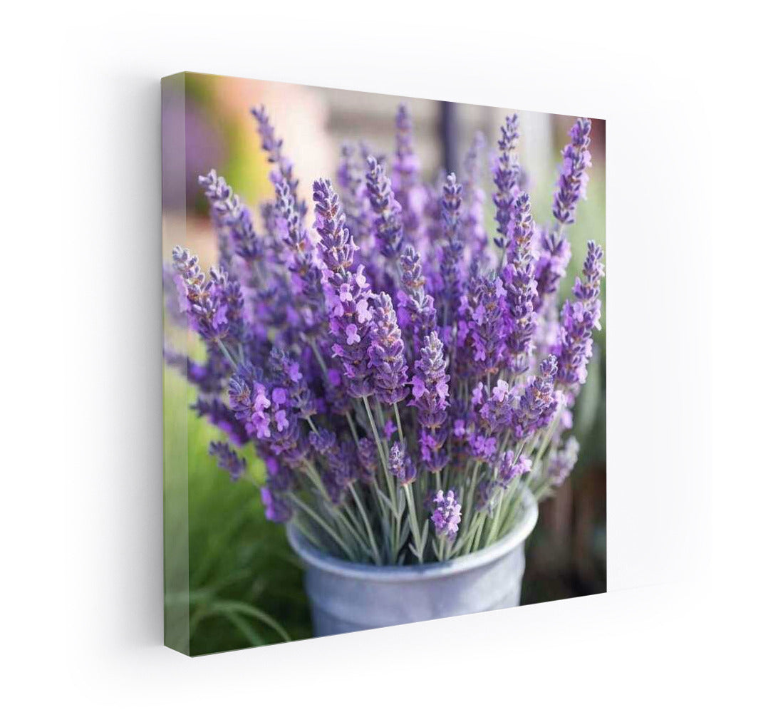 Lavender Charm: Tenderness of Flowers for Comfort and Freshness