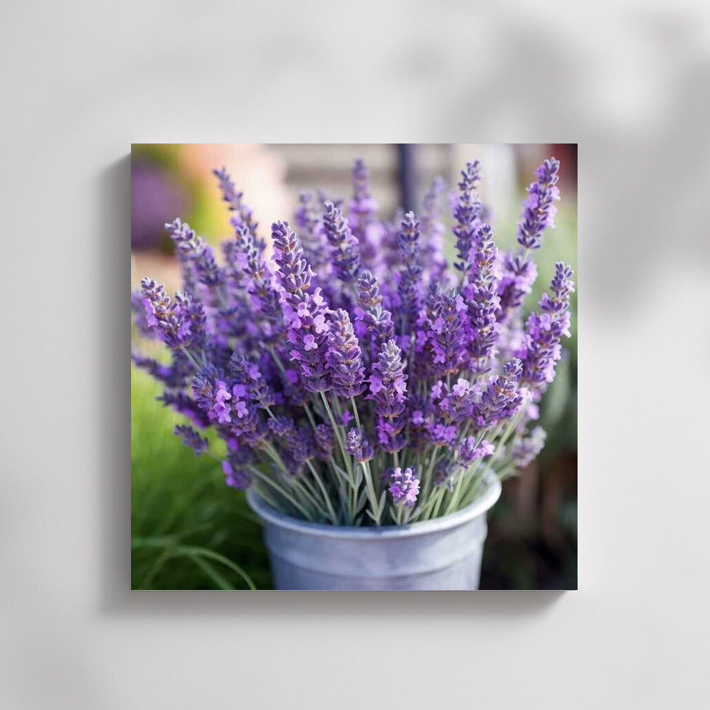 Lavender Charm: Tenderness of Flowers for Comfort and Freshness