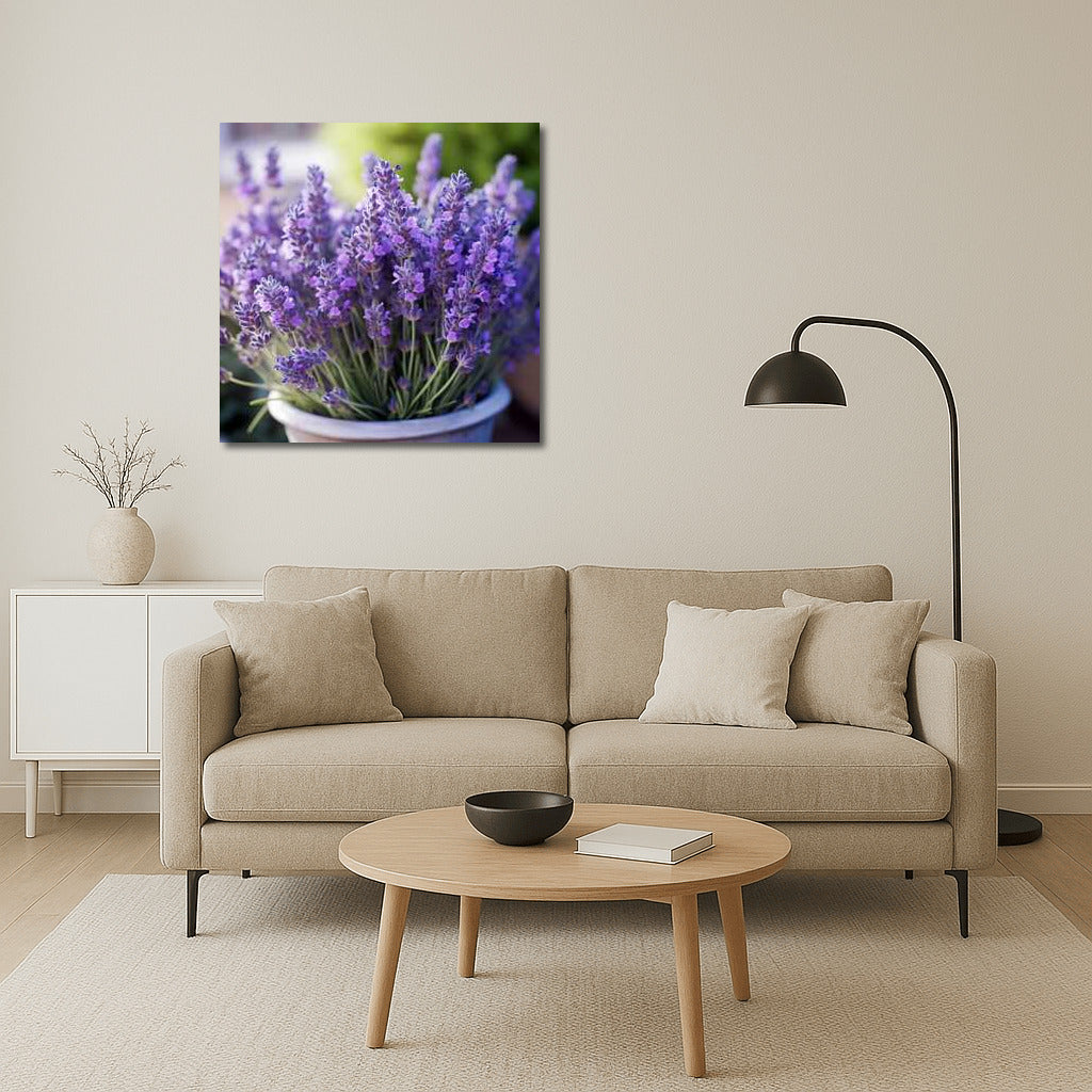 Wonderful Lavender Grosso: Provencal Magic in Your Interior