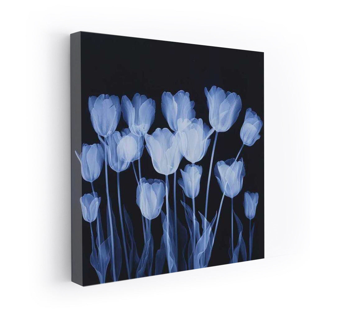 Snow Tulips on the Blue Screen: Etude 1