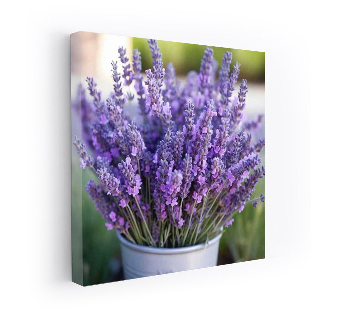 Lavender Delicate: Elegant Hidcote Flowers for Comfort and Harmony