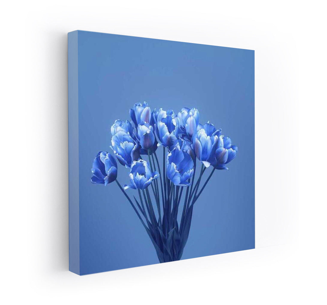 Harmony of Blue Tulips: Blue Screen Tulips 3