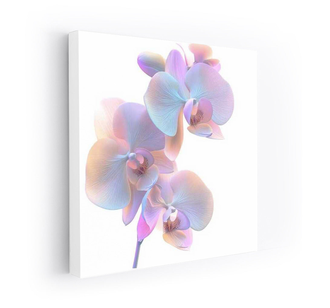 Phalaenopsis Orchid: Delicate Bloom on Canvas