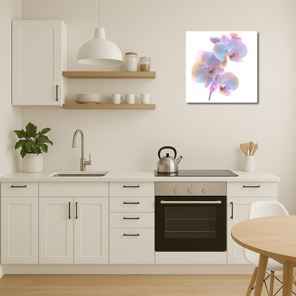 Phalaenopsis Orchid: Delicate Bloom on Canvas