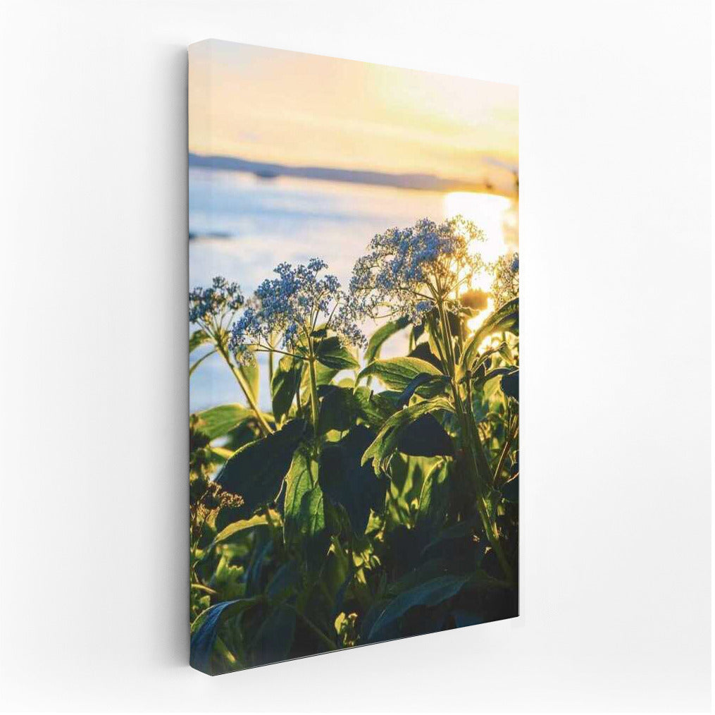 Chamomile Sunny Triumph: Blue and Yellow Flower Waltz